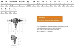 Bild von JRGUMAT Thermomischer PN10, 42°C - Art.Nr. : 3110.042