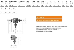 Bild von JRGUMAT Thermomischer PN10, 60°C - Art.Nr. : 3110.060