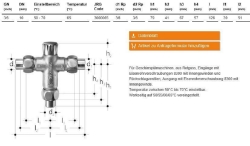 Bild von JRGUMAT Thermomischer PN6, 65°C - Art.Nr. : 3000.065