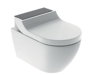 Bild von Geberit Schweiz - Dusch WC Komplettanlage GEBERIT AquaClean Tuma Comfort Art.: 146.290.SJ.1 wandhängend Glas schwarz mit CH Garantie