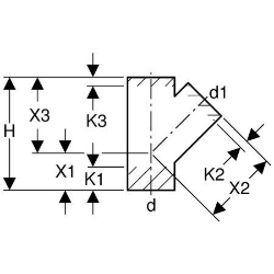 Bild von  Geberit PE Abzweig 45°,  DN:125 / 60, d[mm]:125, d1[mm]:63 , Art.Nr. : 368.120.16.1