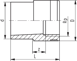 Bild von +GF+ PROGEF Standard Reduktions-Nippel Metrisch Rp (PN10), Grösse: 20‑ 3/8", Art.Nr.: 727910434